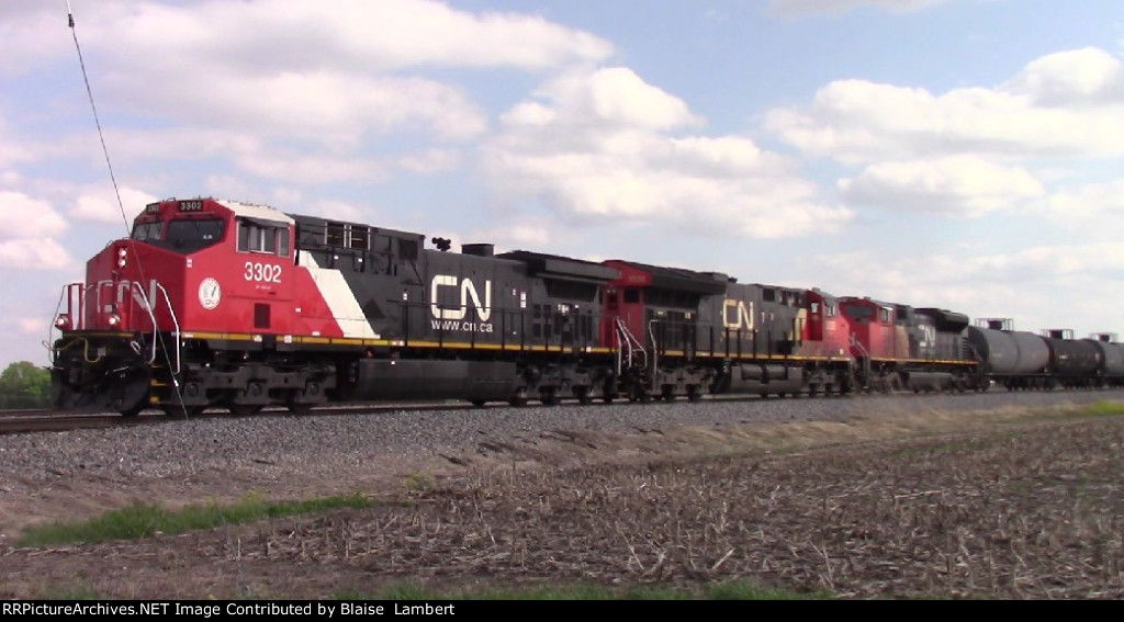 CN A431